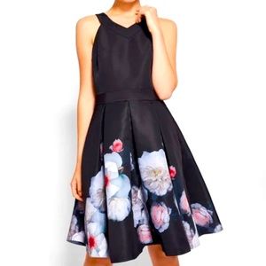 Ted Baker London black floral Jelina Chelsea Skater dress. Size: TB2 (US 6).